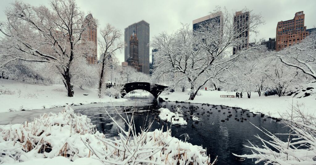 Central Park, NYC in the winter