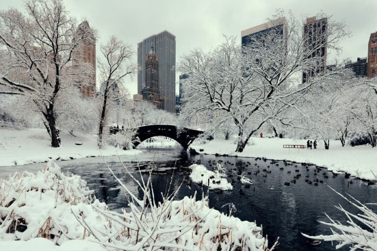 Central Park, NYC in the winter