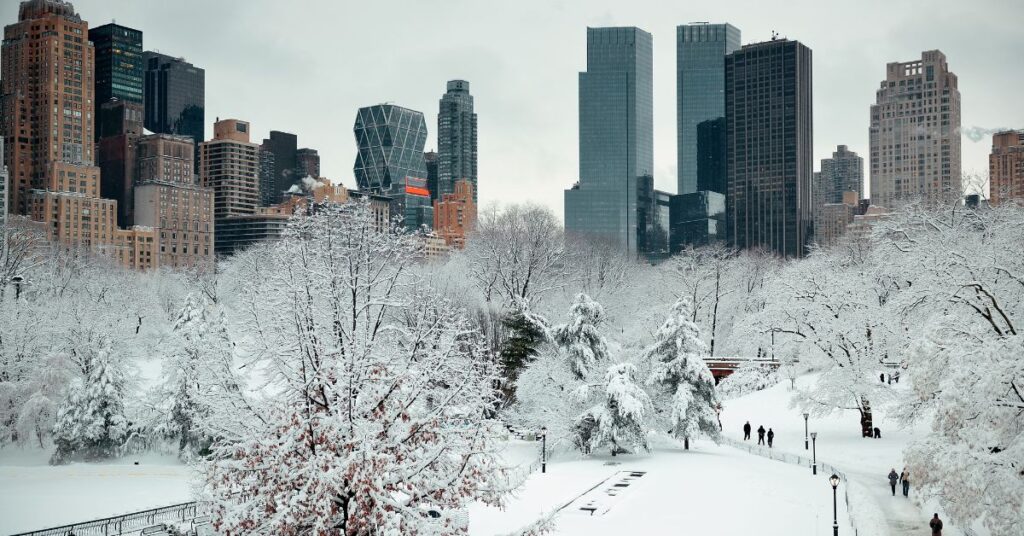 A view of NYC from Central Park in the winter