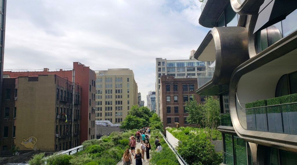 people walking on The High Line with buildings in the background in New York City